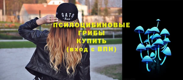 прущие грибы Волосово