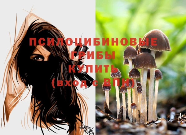 a pvp Волоколамск