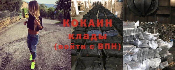 прущие грибы Волосово