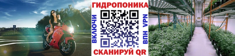 МАРИХУАНА тримм  Купить где  Старый Оскол 